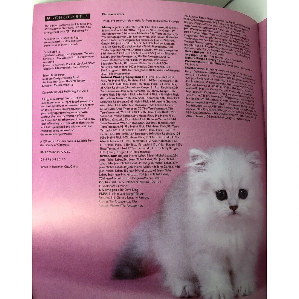 I Love: Cats and Kittens by Alderton, David (2014) Paperback Information Book‎
